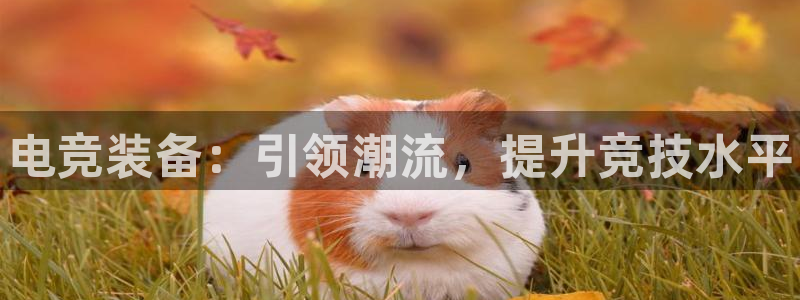 MK电竞电竞馆加盟：电竞装备：引领潮流，