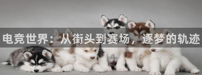 MK电竞电竞竞猜注册网址：电竞世界：从街