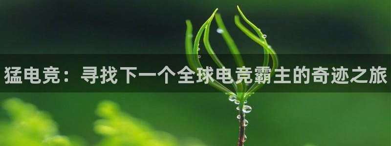 MK电竞电竞app下载：猛电竞：寻找下一