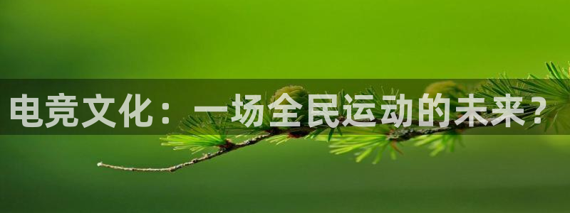 MK电竞电竞网页：电竞文化：一场全民运动